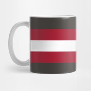 Tampa Bay Color Stripes Mug